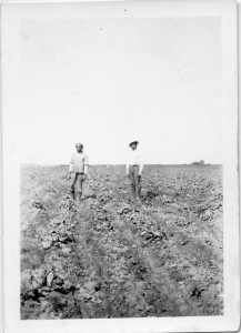 Photograph of Filipino farm workers standing in a field