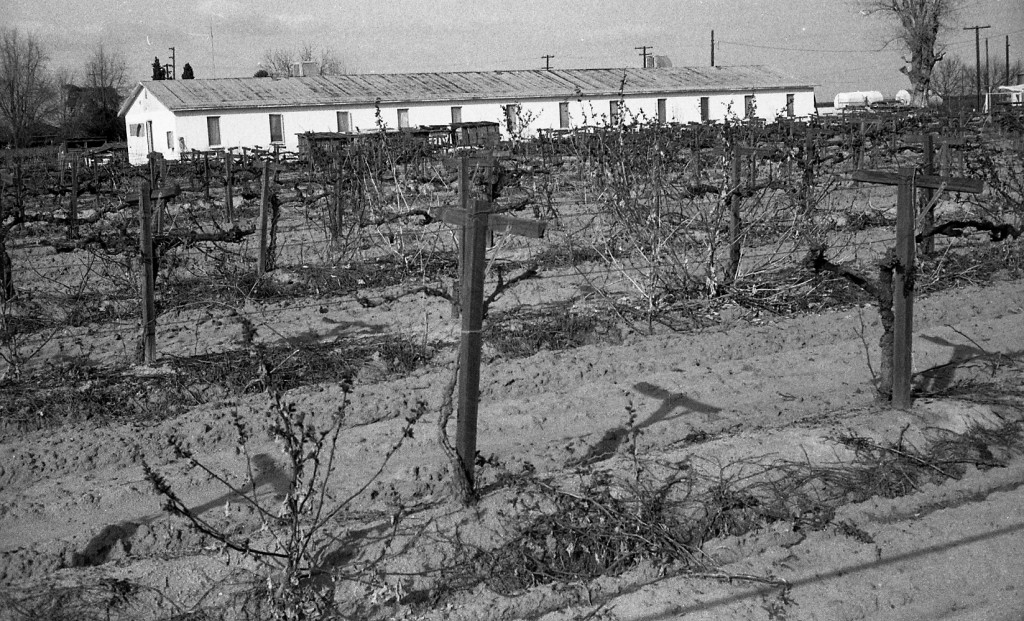 Farm Labor Camp Historical Research Center CSU Bakersfield