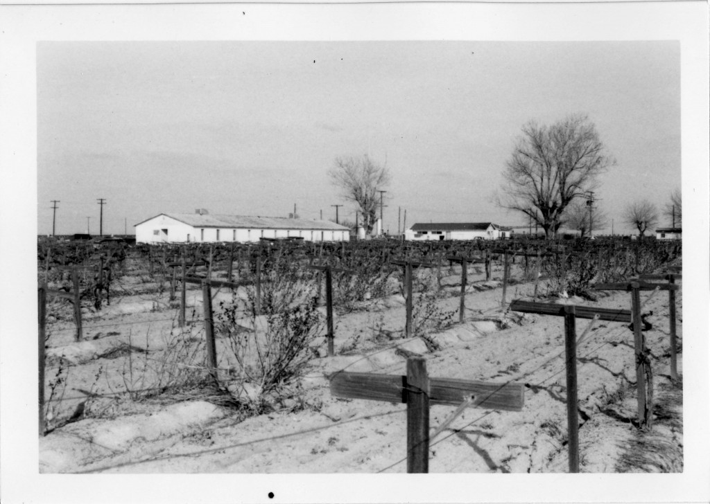 Farm Labor Camp Historical Research Center CSU Bakersfield
